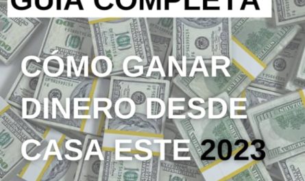 descubre la manera mas rapida de ganar dinero online guia definitiva